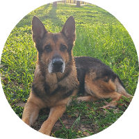 RAMBO