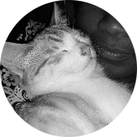 NOUGAT