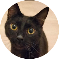 LOKI