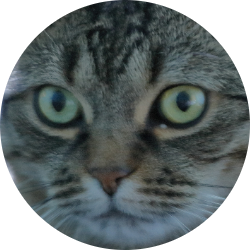 MINOUCHETTE